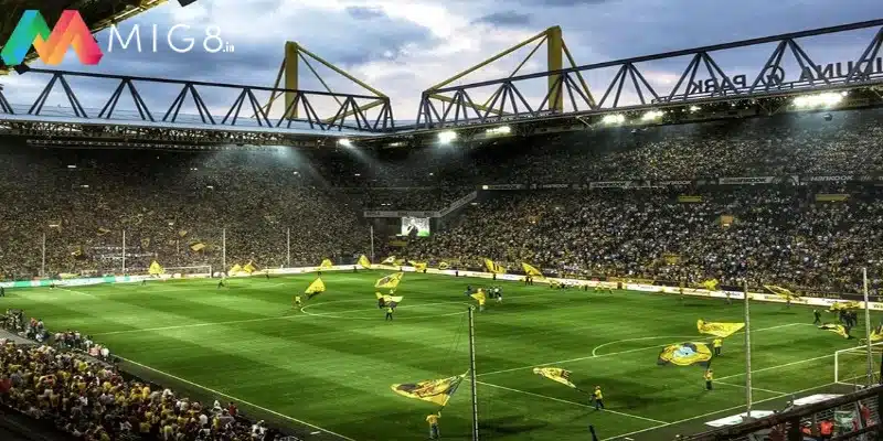 Thông tin các địa điểm được chọn làm diễn ra Euro 2024