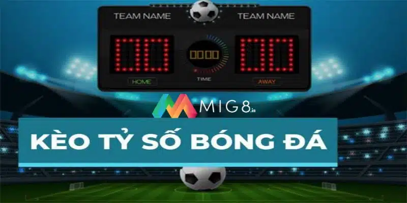 Hướng dẫn cách đọc kèo hay nhất