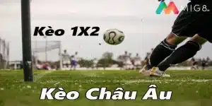 Kèo châu Âu