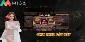 cau bet la gi anh dai dien