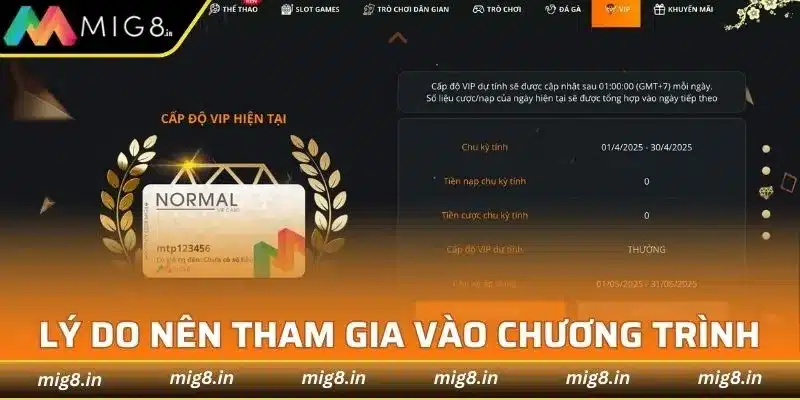 Lý do nên tham gia vào chương trình