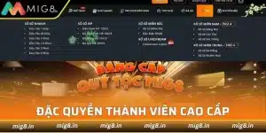 Mig8 VIP - Đặc Quyền Thành Viên Cao Cấp Với Ưu Đãi Hấp Dẫn